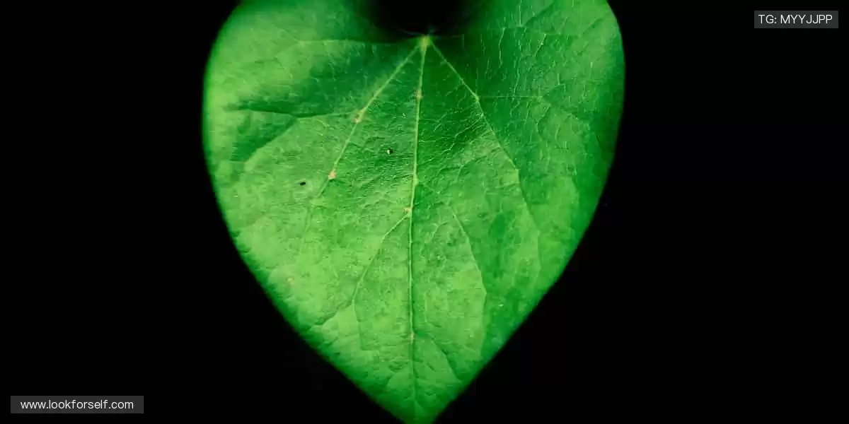 🎯【周边商城】穿上信仰,让热爱不止于呐喊!